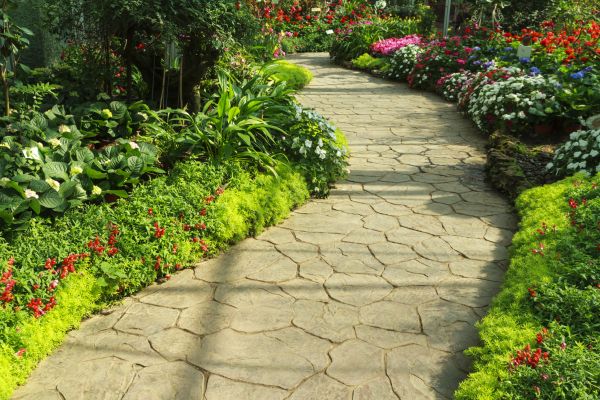 Stone Pathway Repair in Freehold